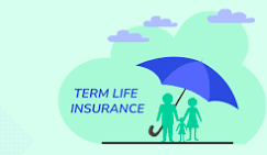 term insurance